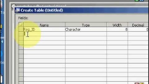 Alpha Five Tutorial 02