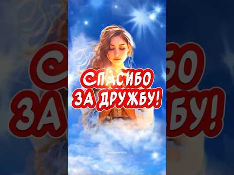 СПАСИБО ЗА ДРУЖБУ! С Днем Дружбы💕красивое поздравление от души🙏
