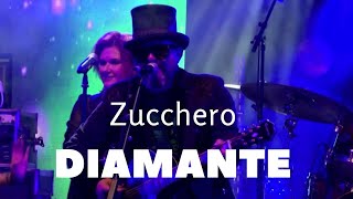 Zucchero 'Diamante' - Daddy Cool Band live in Bosnia Herzegovina