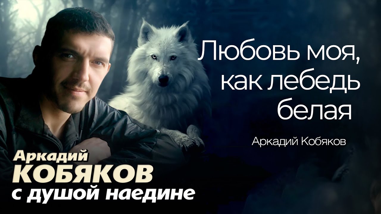 Watch Аркадий Кобяков - Любовь моя, как лебедь белая @Аркадий_Кобяков on YouTube