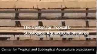 Spirulina Pacifica - Firma Cyanotech, Partner Kenayag