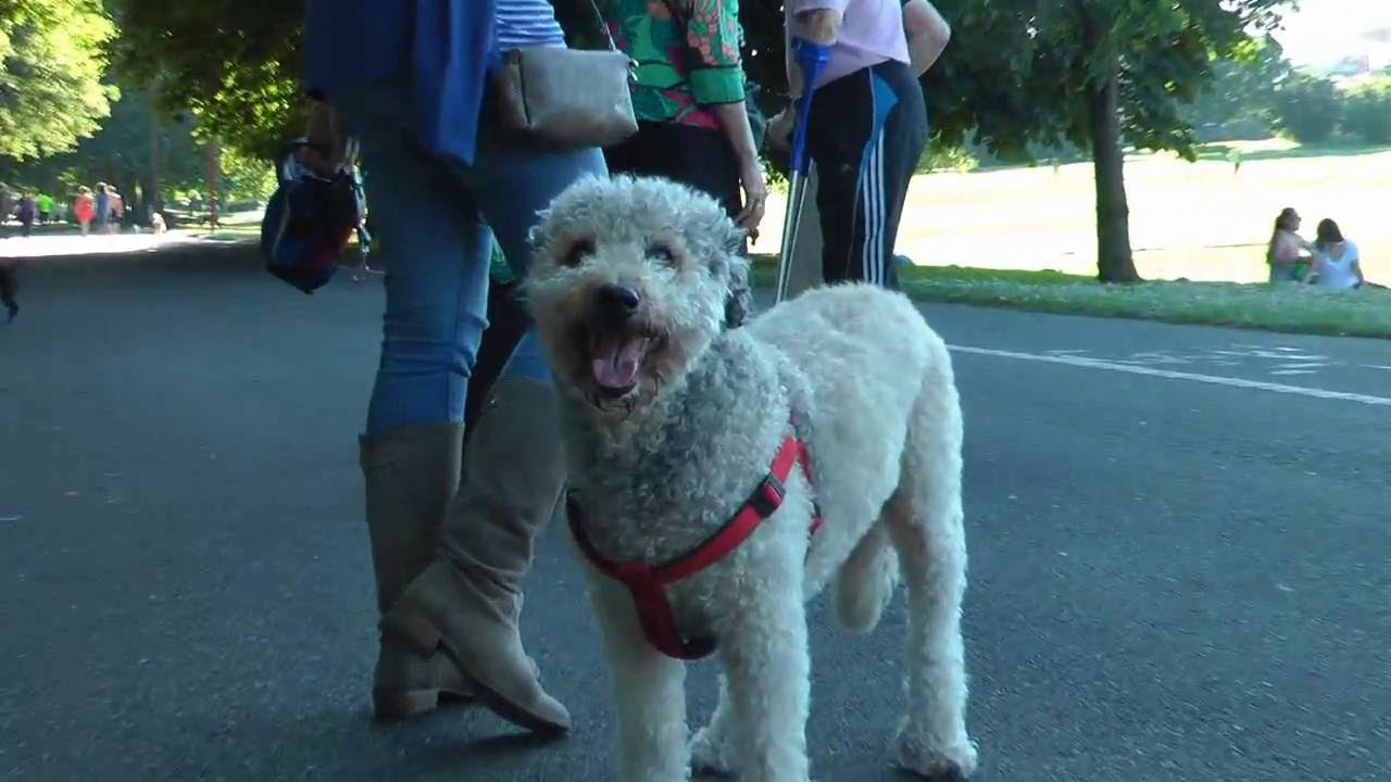 Nº 39 CONOCER GALICIA Paseo por la vereda del Río Miño LUGO ESPAÑA