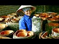 World&#39;s Most expensive Tree Bark - Cinnamon harvesting and processing - Cinnamon tree cultivation