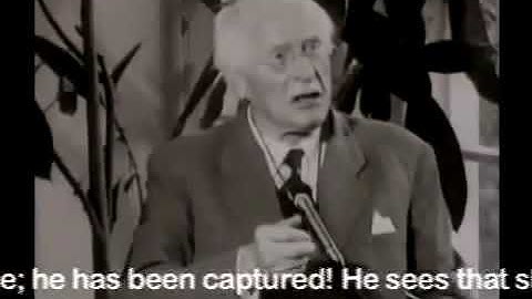 Carl Gustav Jung   Transference and Archetypes