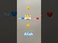 #bulbul Allah💙💙💙💙