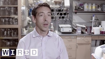 The Elite Study: DNA of Extreme Human Performance