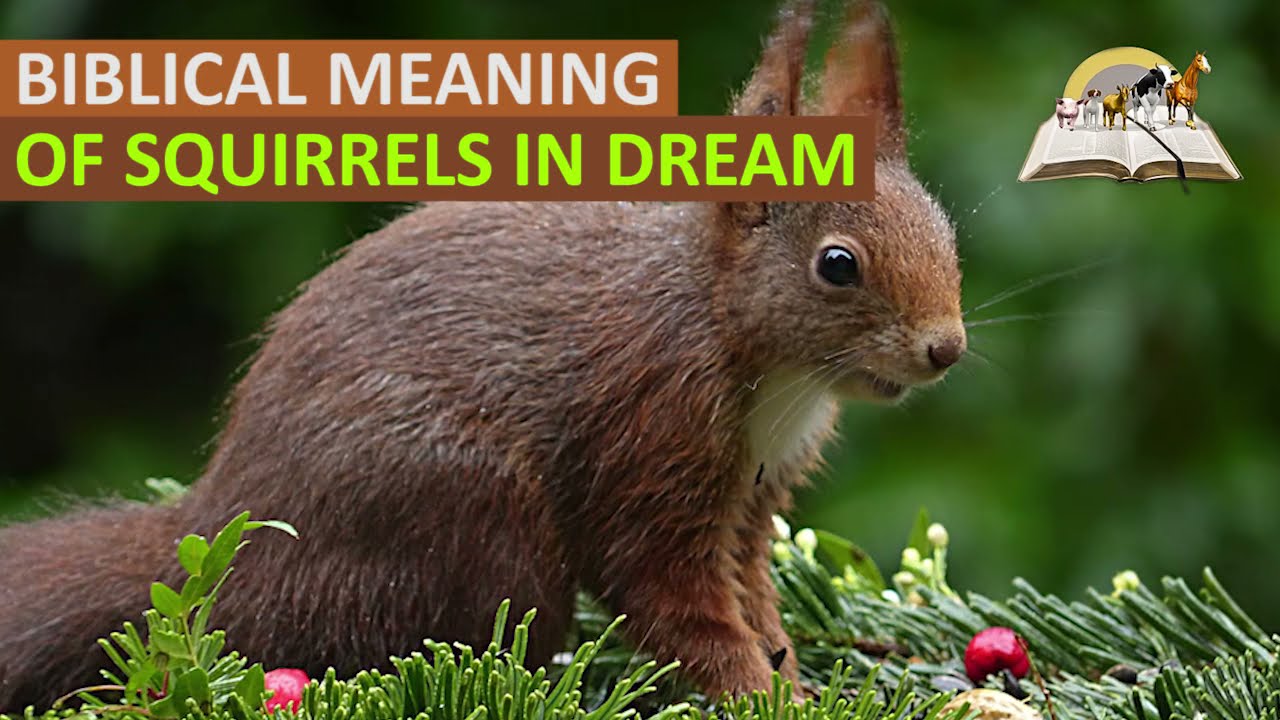 Biblical Meaning of Squirrel