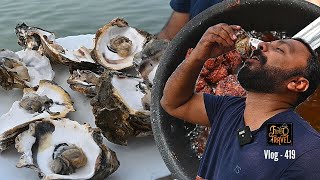 ഓയിസ്റ്റർ പച്ചയ്ക്കു കഴിക്കാനോ? Eating Raw Oysters | Mussels Farming in Kerala | #keralamkaanam