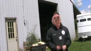 Detailed Moving the wasp nest Information