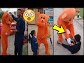 Funny Viral Video Of Brown Bear | Funny Clips Of Bear In Public