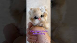 Cute Pipe Cleaner Cat 🐱✨ Easy DIY in 30 Seconds!