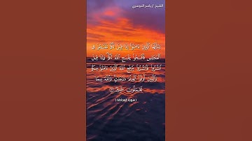 سورة المجادلة من آية 11 إلى آية 12 بصوت الشيخ ياسر الدوسري♥♥