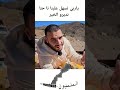 كولو يارب