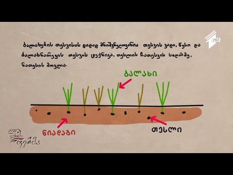 ფერმერის სარჩევი: ბალახნარი, როგორ მივიღოთ თივის დიდი მოსავალი