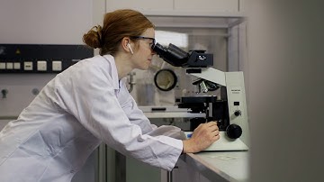 Digital Lab Transformation with LabTwin’s Voice-Powered Assistant