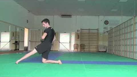 Primitive Functional Movement® Instructor Exam