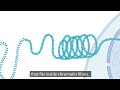 Retinal cell chromatin org map