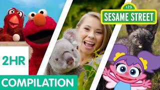 Sesame Street: Animals for Kids Compilation | 2 Hours