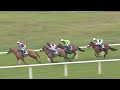 All Racing Highlights | Howden Christmas Racing Weekend | Friday 20th December 2024