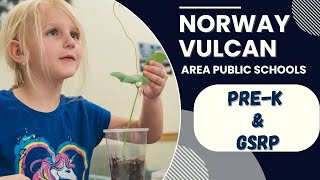 Early Childhood Excellence at Norway-Vulcan Area Schools