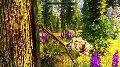 Skyrim SE  PHOTOREALISTIC graphics mod  2021
