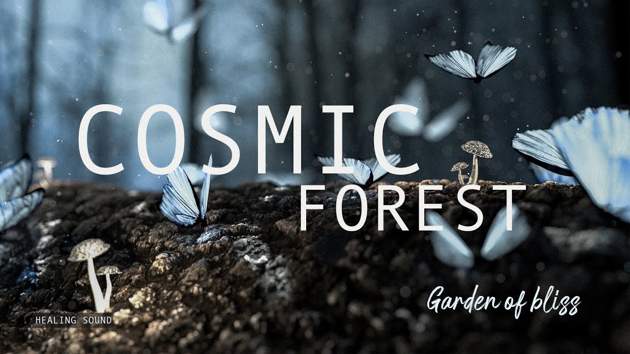 🍃 Cosmic forest 🎧 AMBIENT GALACTIC NATURE. Music for yoga, healing, meditation, sleep. Forest Sound.