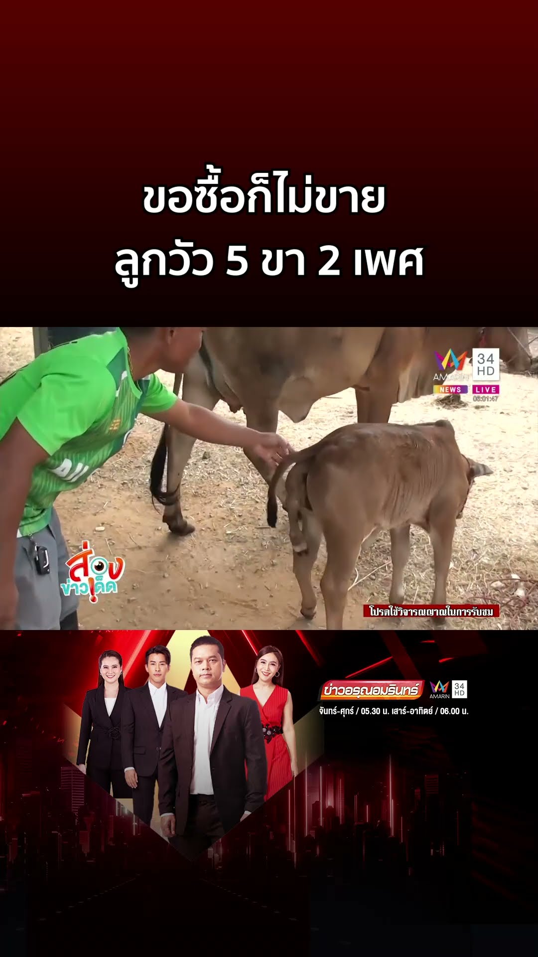 ขอซื้อก็ไม่ขาย ลูกวัว 5 ขา 2 เพศ | ข่าวอรุณอมรินทร์