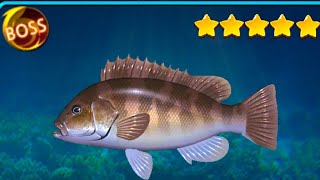 Fishing Hook BOSS ปลาแบล็กฟิช โคปาคาบาน่า | F6 POON screenshot 3