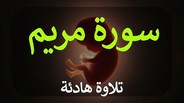 تلاوة سورة مريم كاملة للقارئ احمد الشبلي | surah Maryam