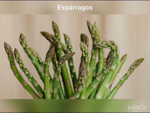 Vídeo: Estimación Del Contenido De Clorofila Del Arroz Y La Concentración De Nitrógeno En La Hoja Con Una Cámara Digital De Color Fija Con Luz Natural