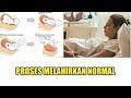 Proses dan Tahapan Melahirkan Normal [Lengkap]