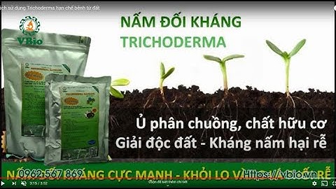 Cách sử dụng Nấm đối kháng Trichoderma hạn chế bệnh từ đất, Cây trồng