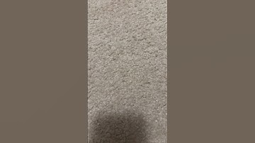 The REAL Reason 🤯 #vlog #vacuum #vacuumcleaner #memes #fpv #shorts