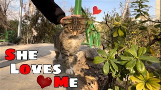 She loves me.when she finds me always shows her love to me by Cats Land 138 views 3 months ago 3 minutes, 27 seconds