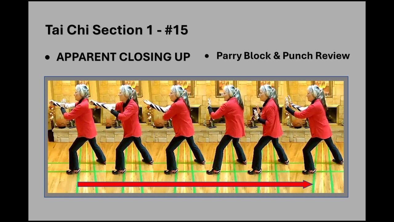 Block Punch Parry 4/21/26 Sect 1 #15 - APPARENT CLOSING UP - Review PARRY BLOCK & PUNCH ...