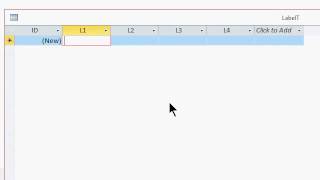01.Microsoft Access Insert Blank Mailing Labels Using Macros