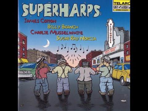 Billy Branch, Charlie Musselwhite, James Cotton, Sugar Ray Norcia - Harp To Harp