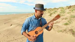 Video thumbnail of "SON JAROCHO - La Guacamaya - Diego Martucci #requintojarocho #guitarradeson #SonJarochoEnItalia"