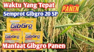 gibgro untuk padi-manfaat gibgro panen screenshot 1