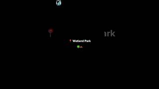 place on earth that don't feel real 😱 ivory hill ruyi bridge wetland park