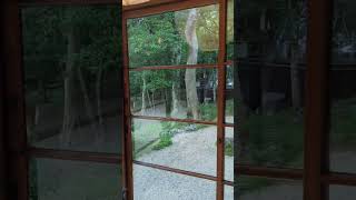 Transparent Garden Office Pod