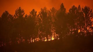 Changement climatique : vague de chaleur et incendies en Europe