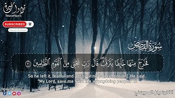 أرح مسامعك 🎧😴 بتلاوة عطرة  من سورة القصص بصوت القارئ ريان المحيسني