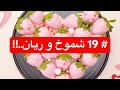 19 شموخ و ريان قصص رون 19 شموخ و ريان قصص رون