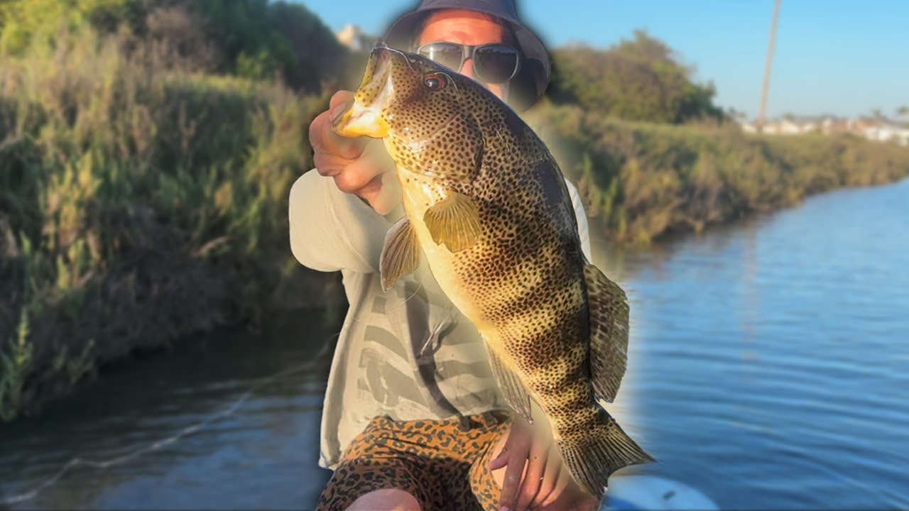 Paddleboard￼ Fishing for Spotties 