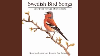 Goldfinch screenshot 4