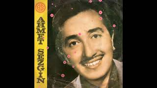 Ahmet Sezgi̇n Peri̇şanim