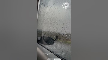 وهو الذي أنزل من السماء ماء فأخرجنا به نبات كل شيء | تلاوات القارئ محمد كليم