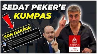 Şok Sedat Peker İnterpol Tarafindan Aranmiyor Sedat Peker Vi̇deolari Son Daki̇ka