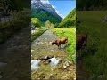 Beautiful Switzerland